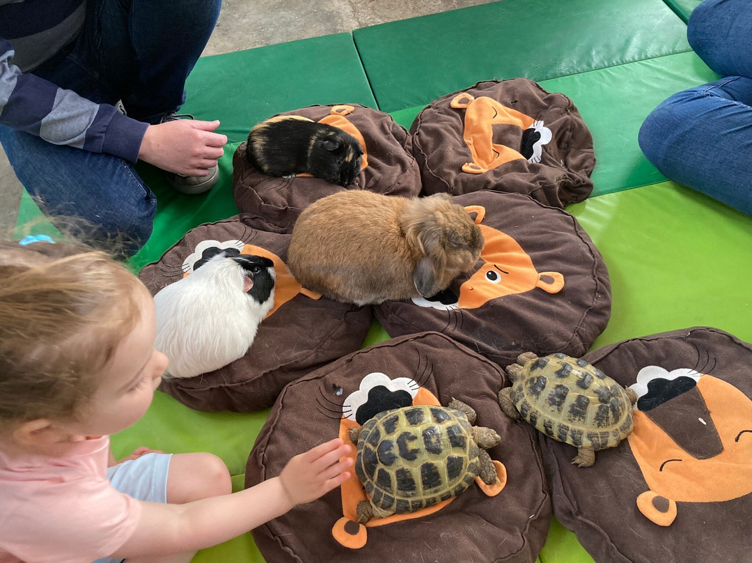 Caithness Animal Farm Park景点图片