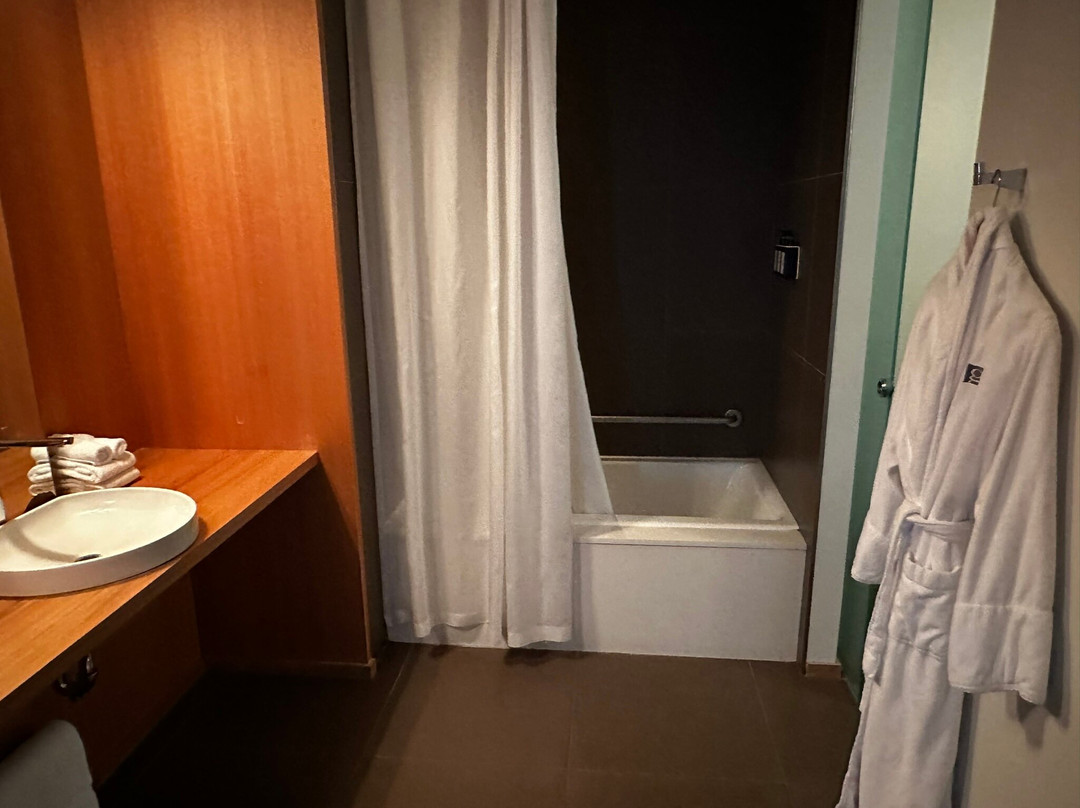 枫叶广场乐日耳曼集团酒店主图