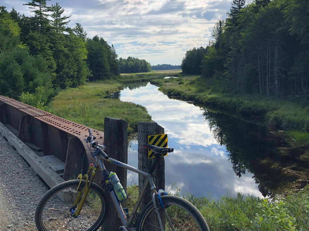 The Bluebird Motel主图