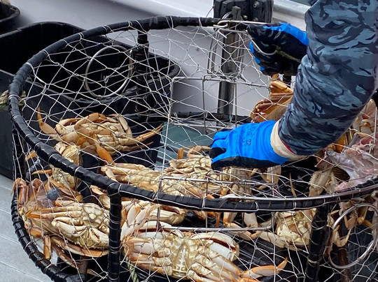 Dockside Charters-Depoe Bay必去景点