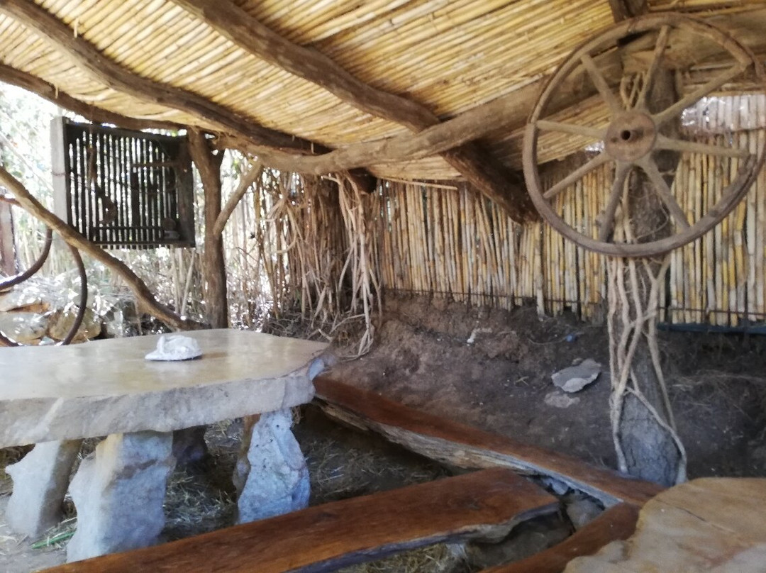Punta Kamenjak-Premantura必去景点