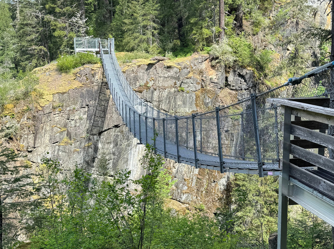 Elk Falls Suspension Bridge景点图片