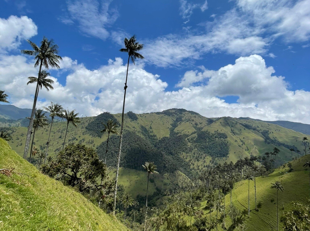 Colombian Summit-Ibague必去景点