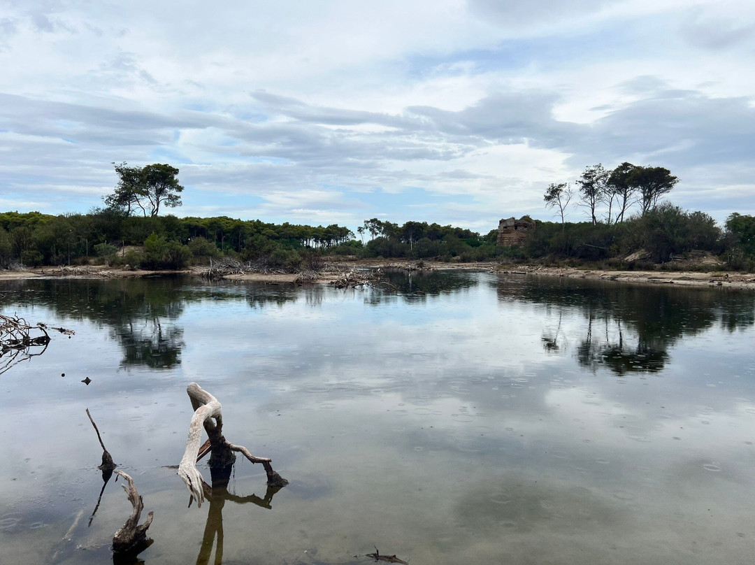 Lago Salinella景点图片