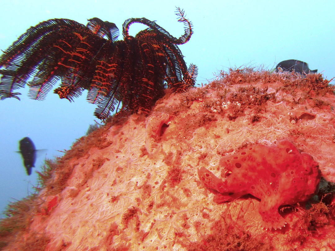 蔚蓝潜水瑜伽度假村主图