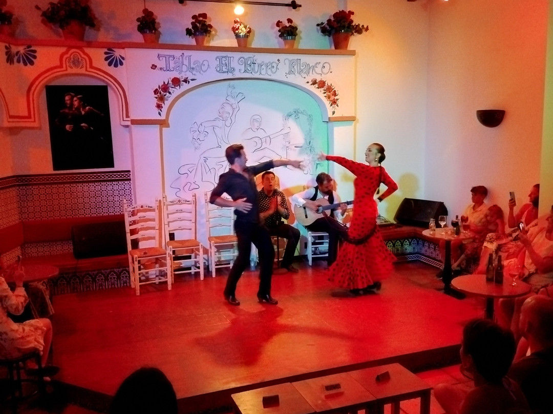 El Burro Blanco Flamenco Bar-内尔哈必去景点