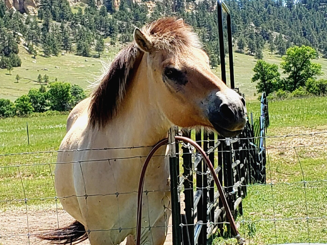 Devils Tower Outfitters主图