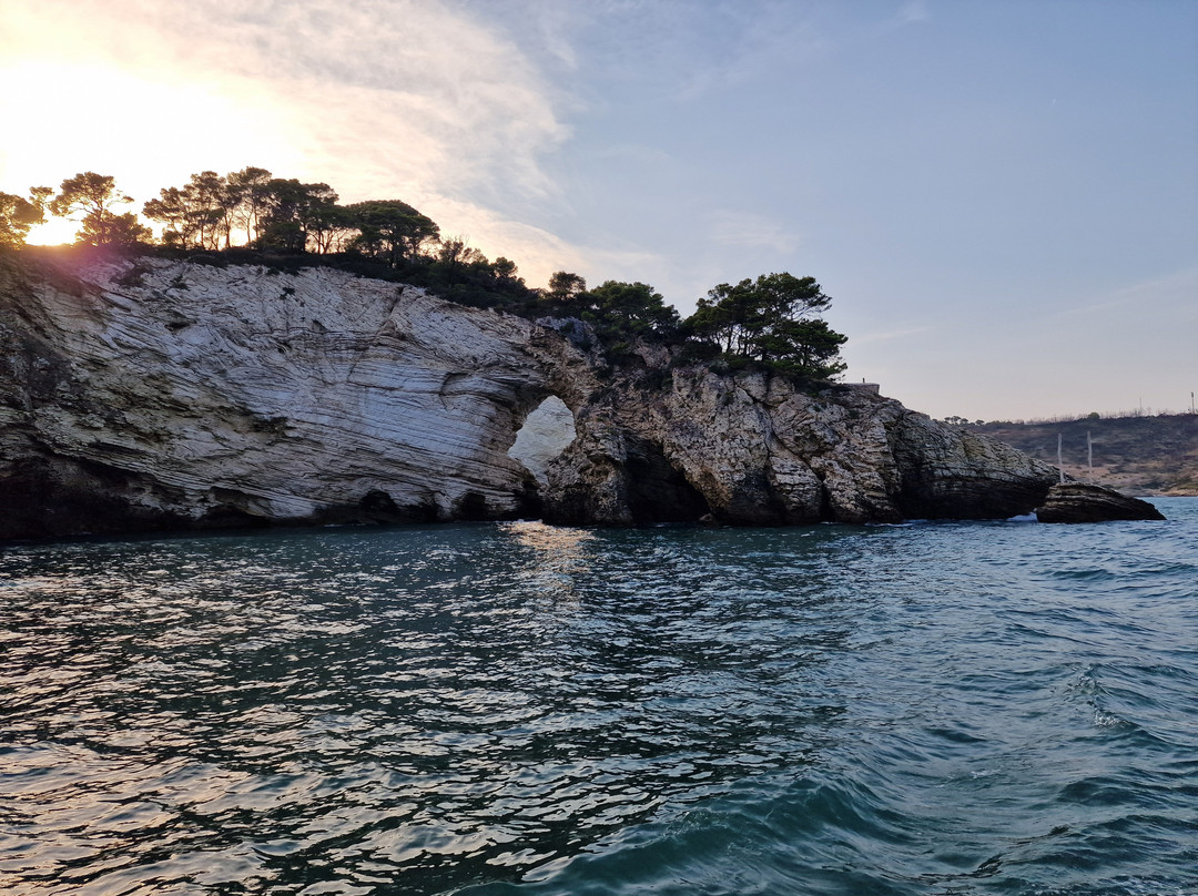 Albachiara Boat Escursioni e Aperitivi in barca-维耶斯泰必去景点