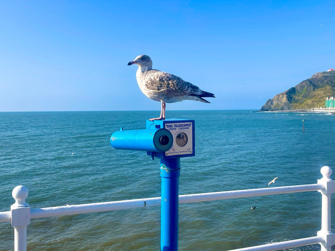Aberystwyth North Beach景点图片