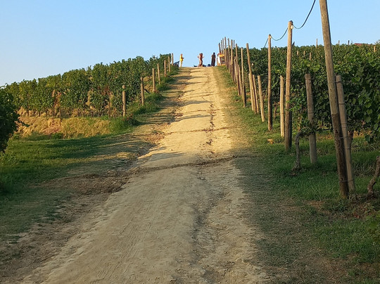 Fattoria Mancini-佩萨罗必去景点