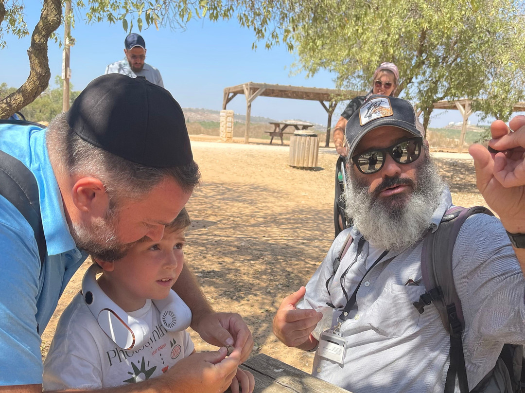 Eretz Israel Tours景点图片