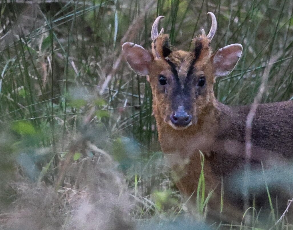 RSPB Minsmere-Westleton必去景点