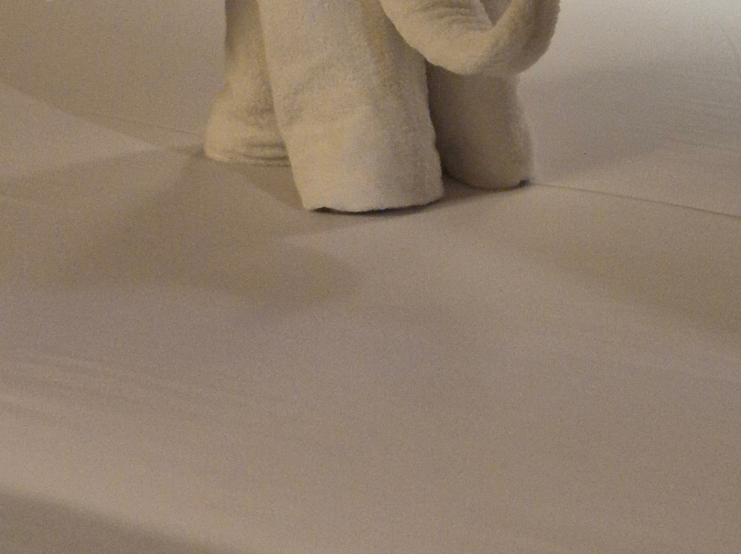 马卡迪绿洲伊波罗度假酒店主图