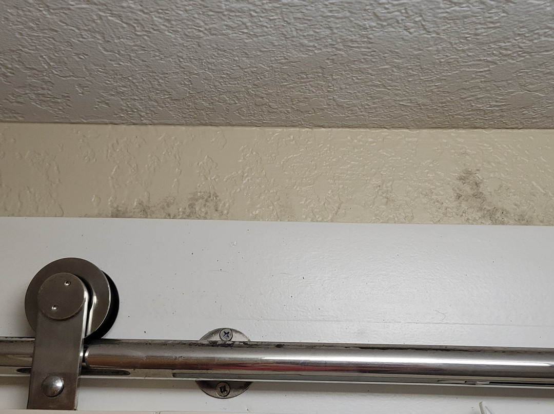 Hampton Inn Bartow主图