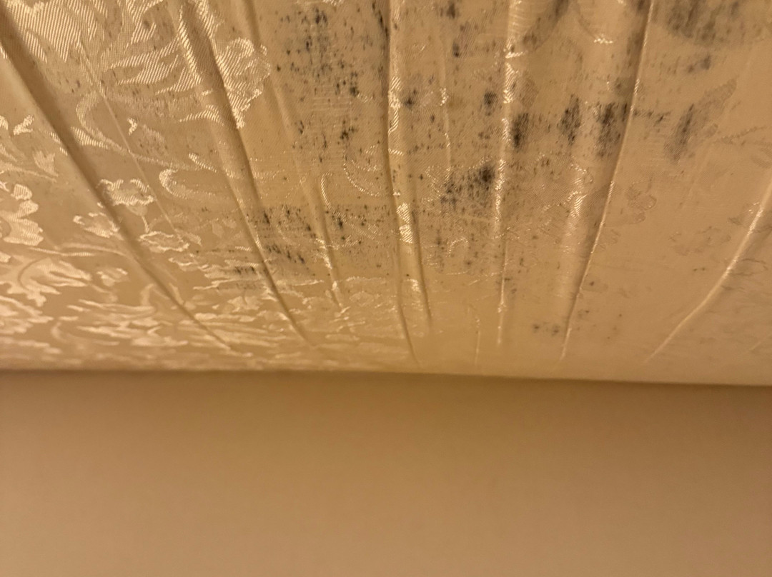 Cedar Crest Inn主图