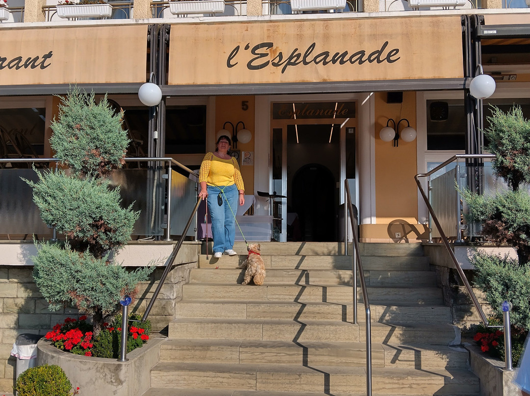 Hotel De L'Esplanade主图