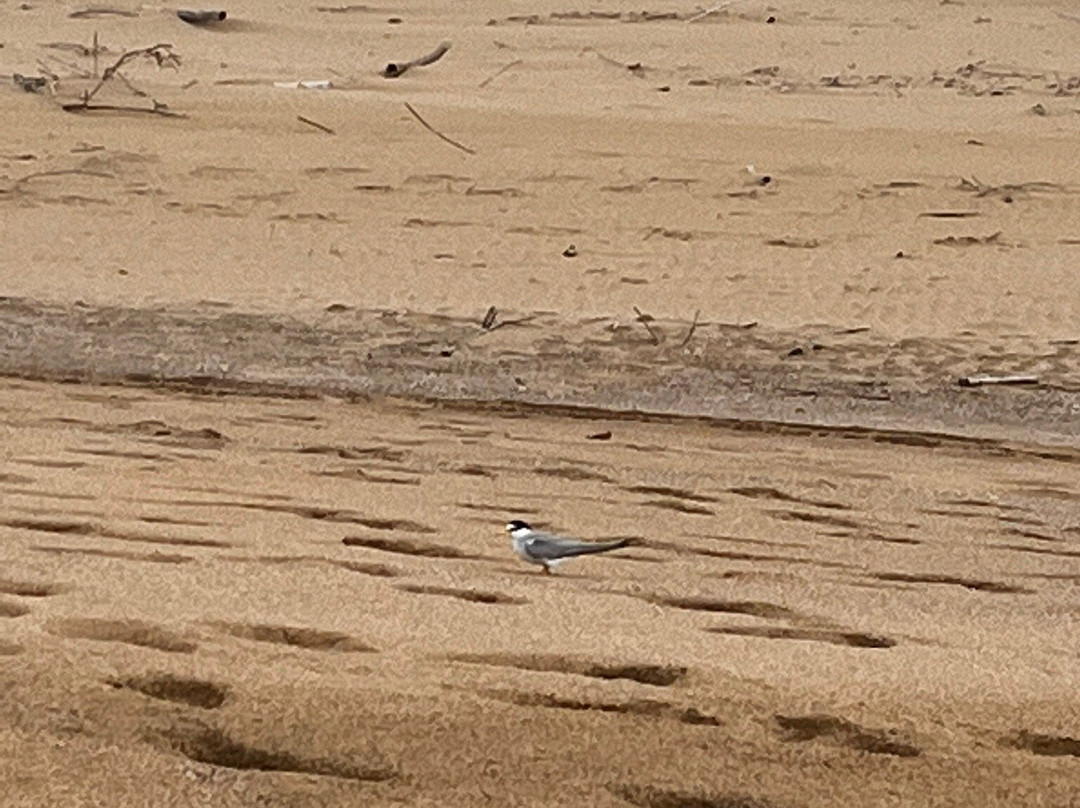 La Poza de las Mujeres-Manati必去景点
