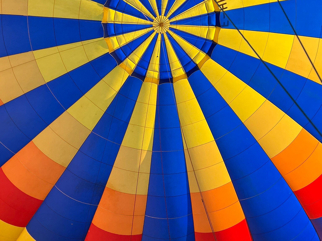 Alpes Montgolfière-Praz Sur Arly必去景点