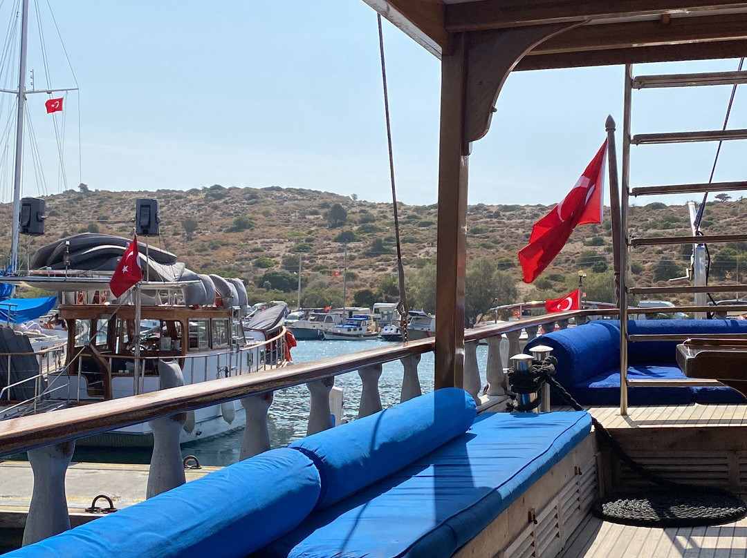 Outback Boat Trips景点图片