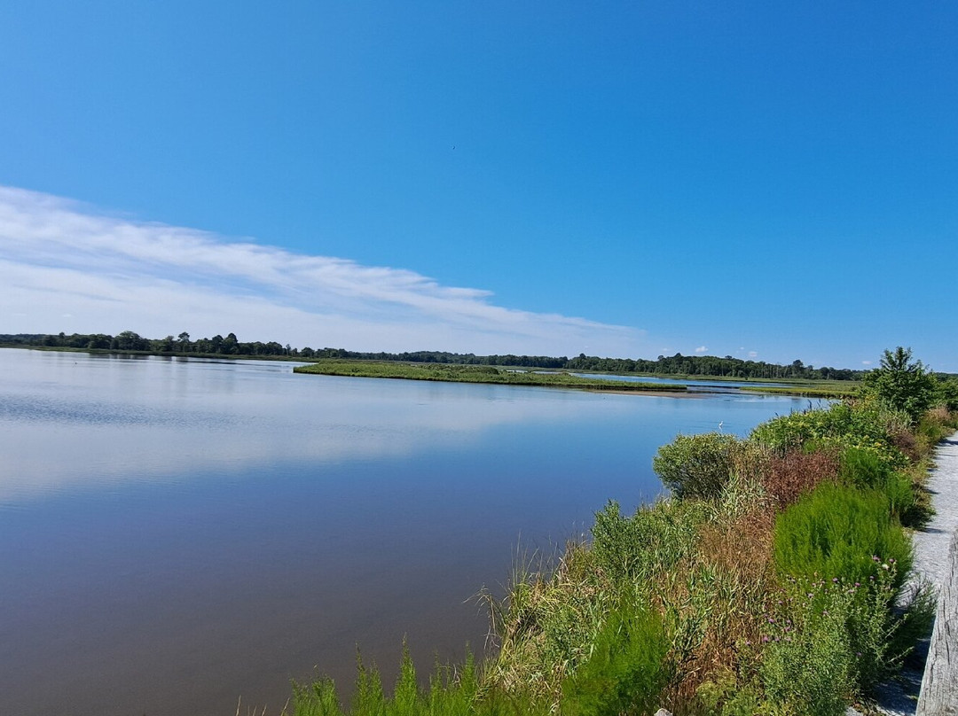 Prime Hook National Wildlife Refuge-Milton必去景点
