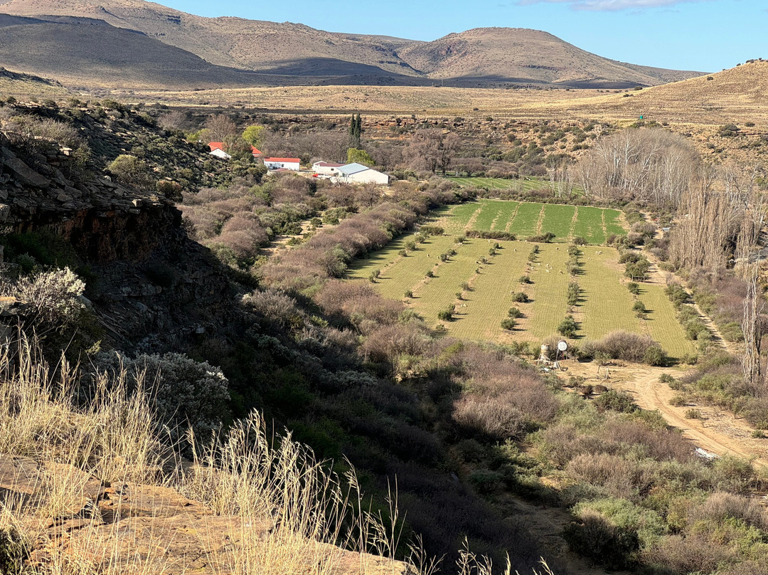 Ganora Guestfarm主图