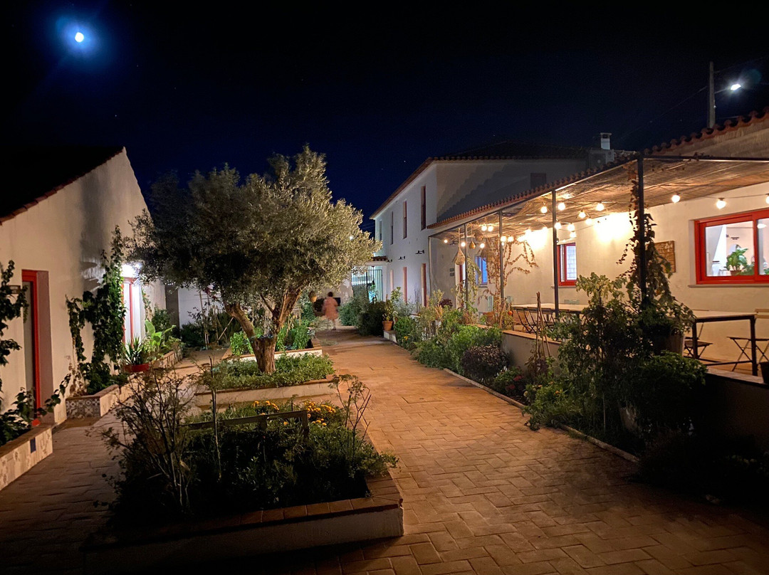 Viva! Farmhouse主图