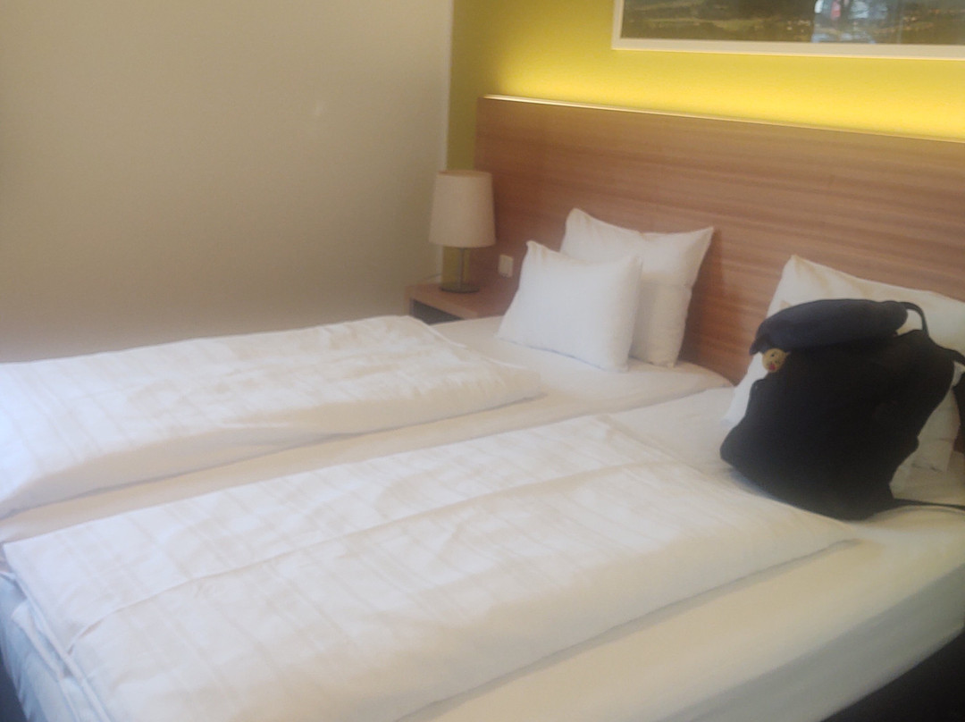 因斯布鲁克阿尔普酒店主图