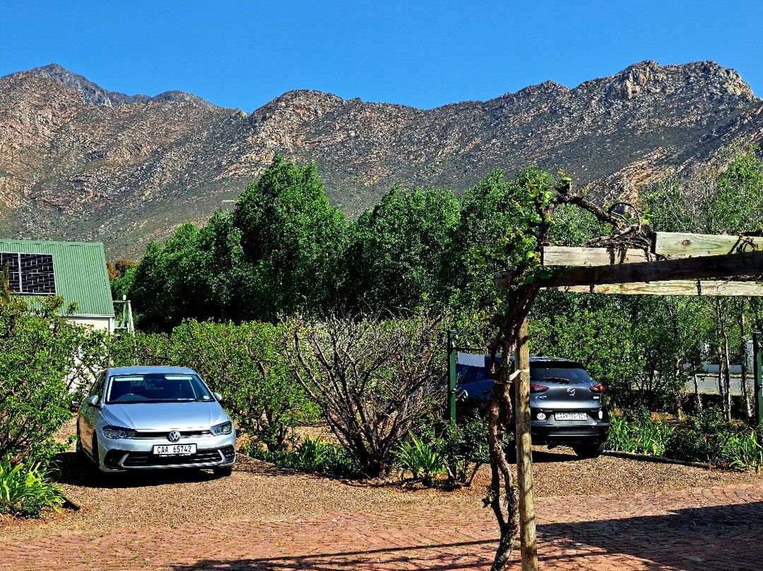 Vineyard Country House主图