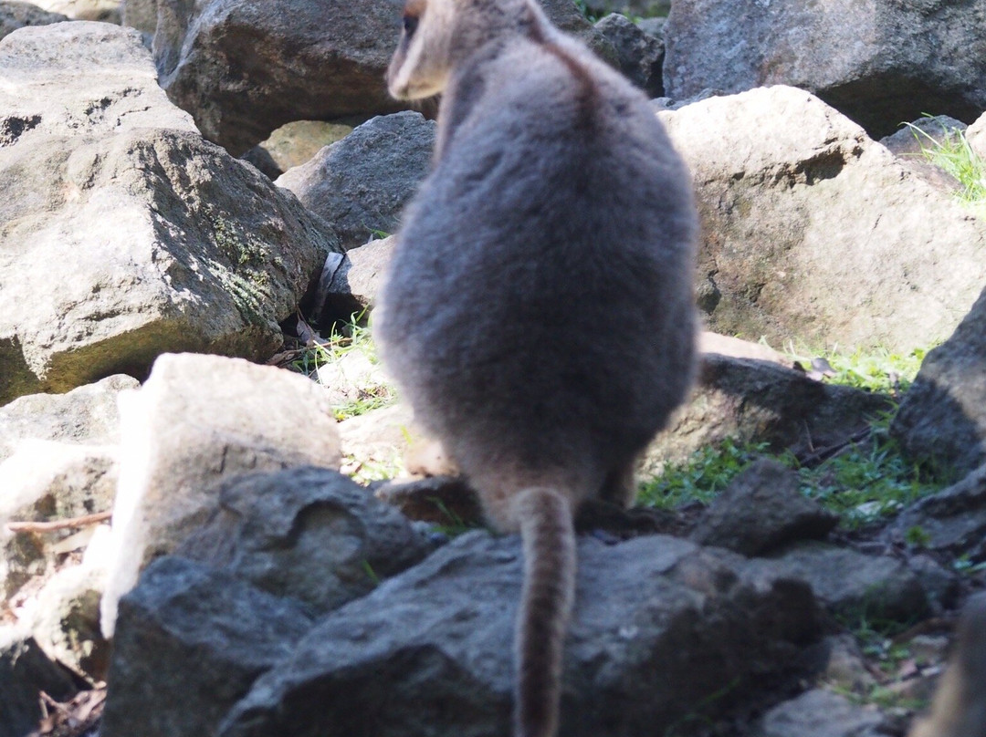 Cleland Conservation Park-阿德莱德必去景点