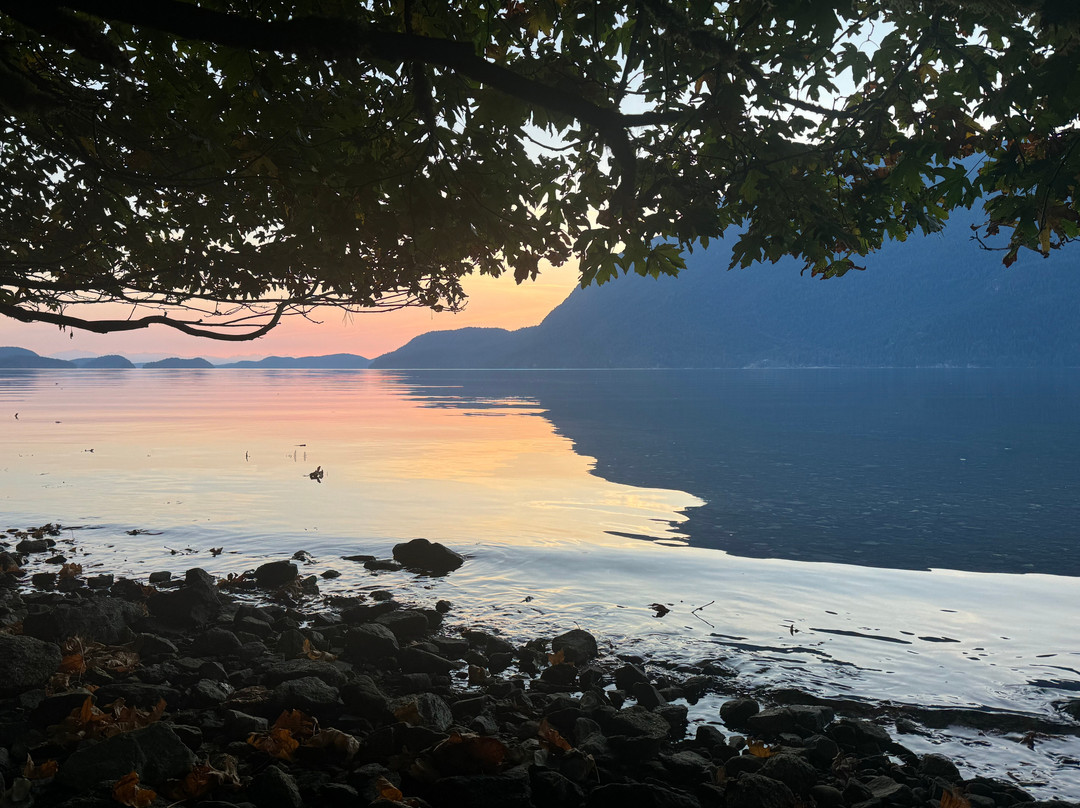 Powell River Sea Kayak-鲍威尔里弗必去景点