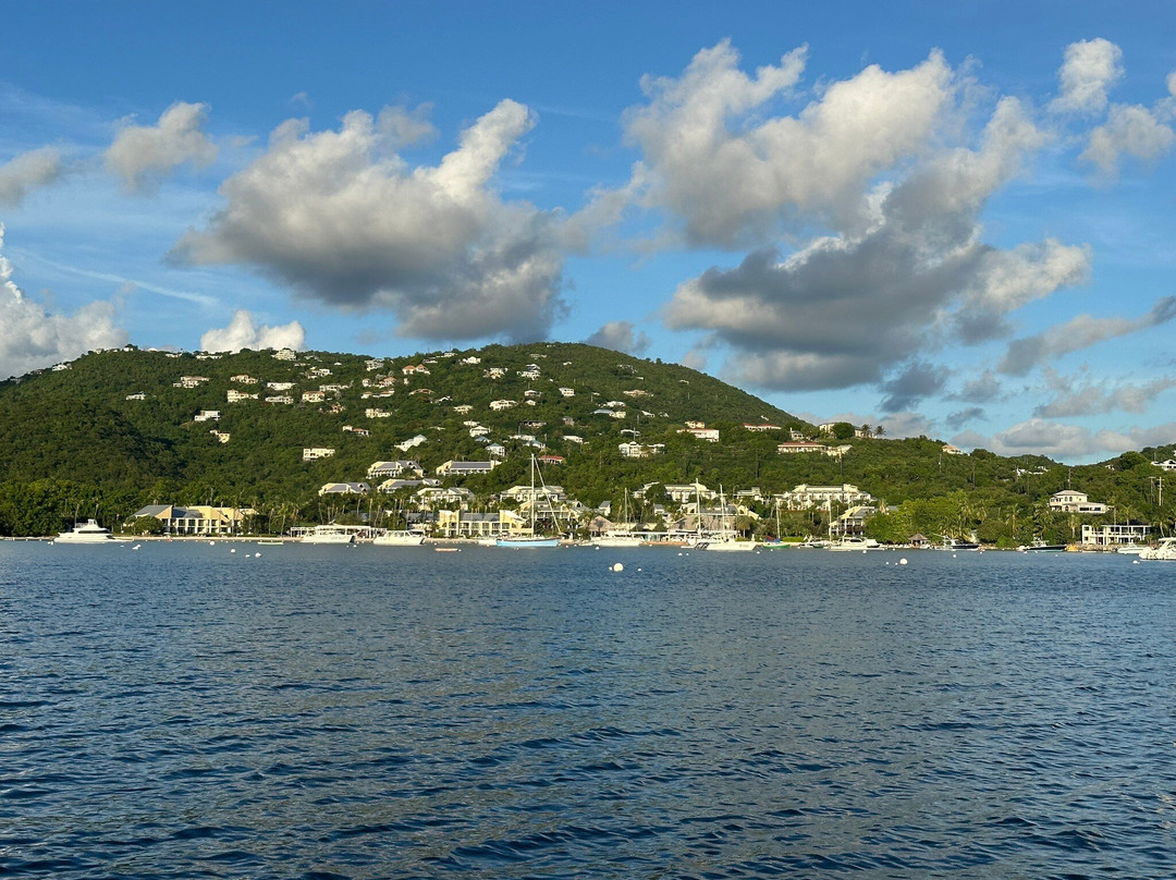Dolphin Water Taxi-圣 托马斯必去景点