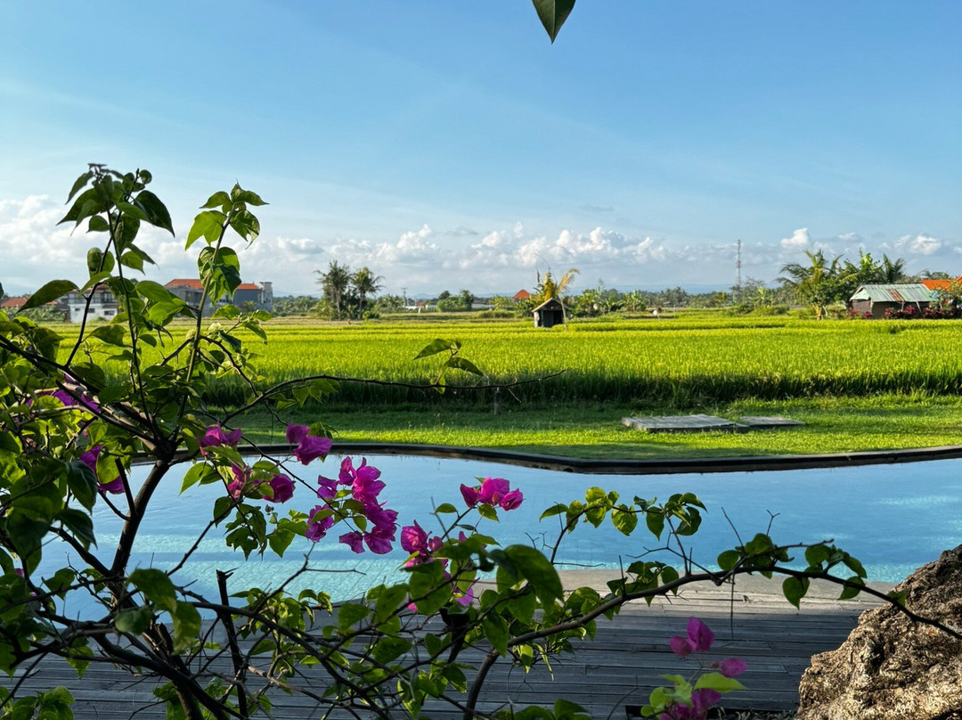 Aksara Wellness At Arya Villas Ubud景点图片