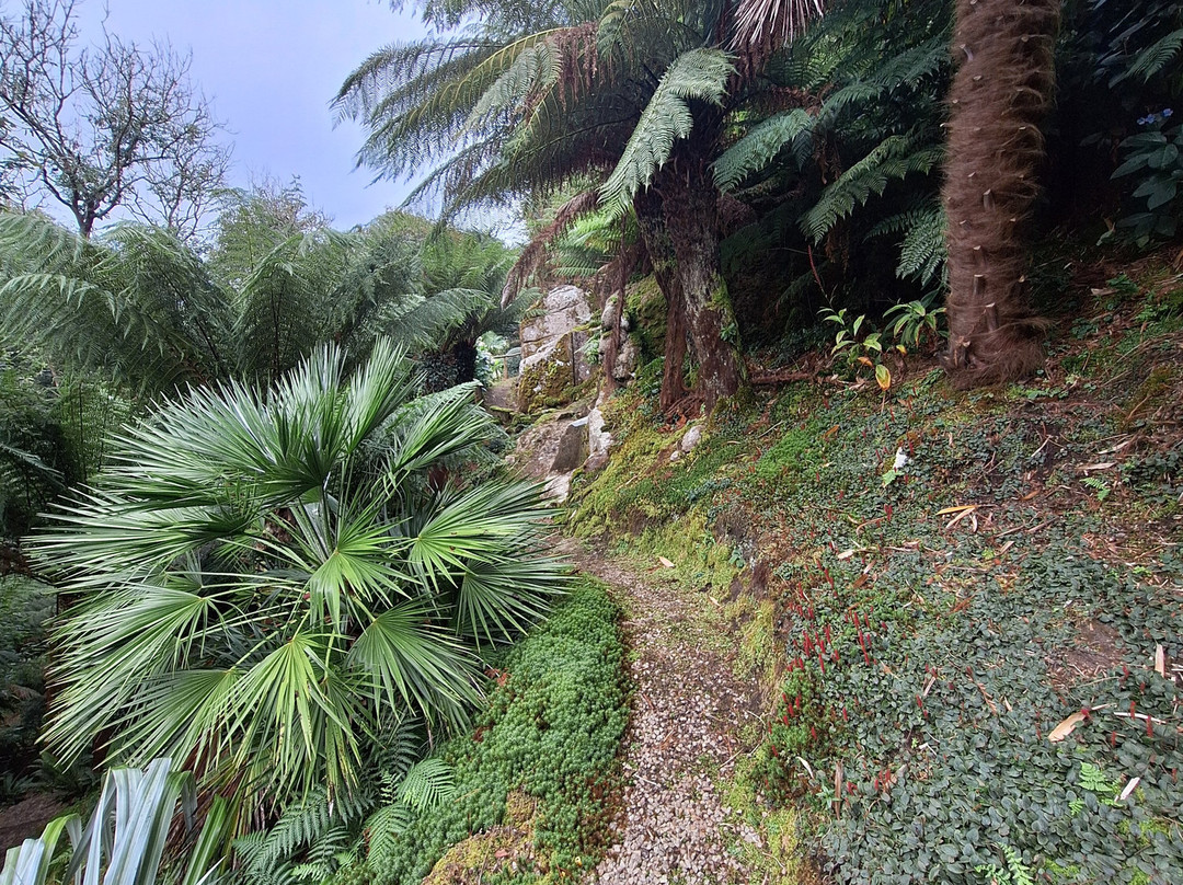 Chygurno Garden景点图片