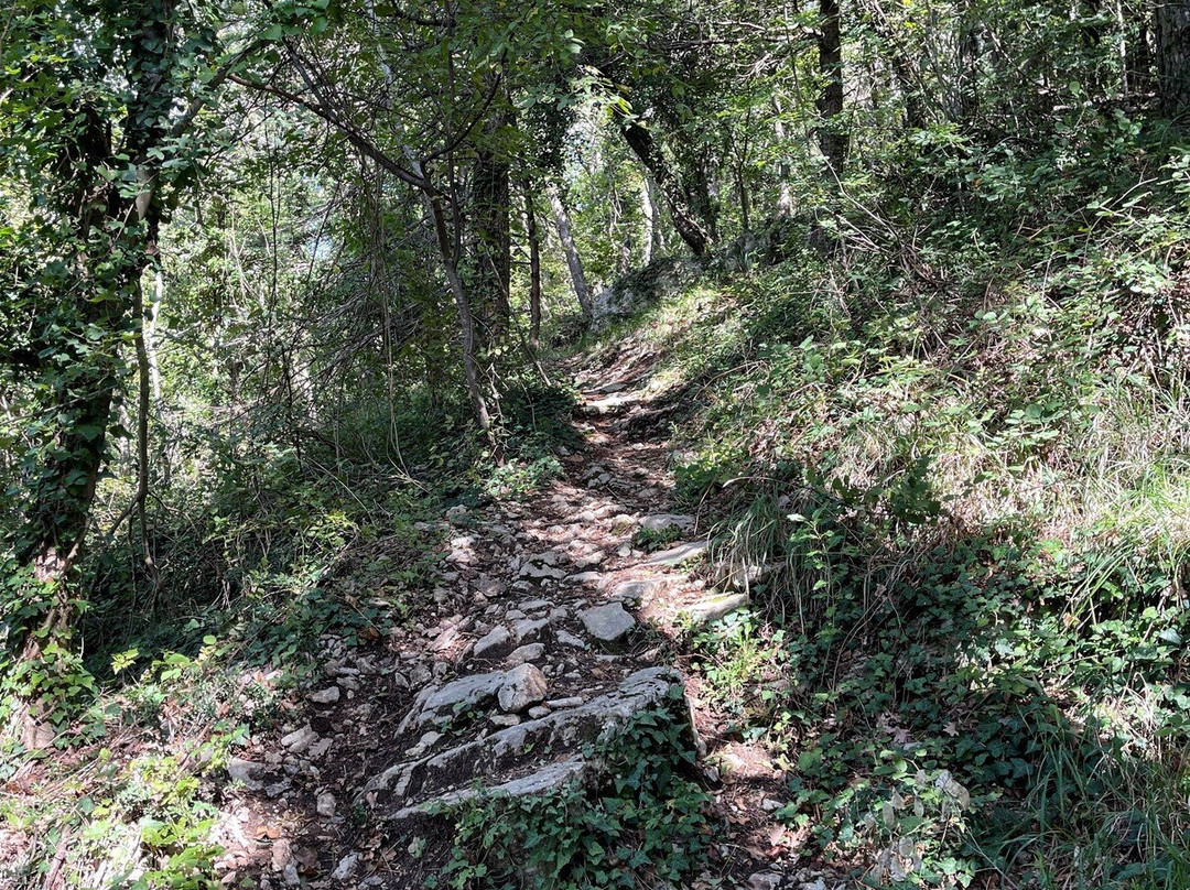 Montale Tower-圣马力诺城必去景点