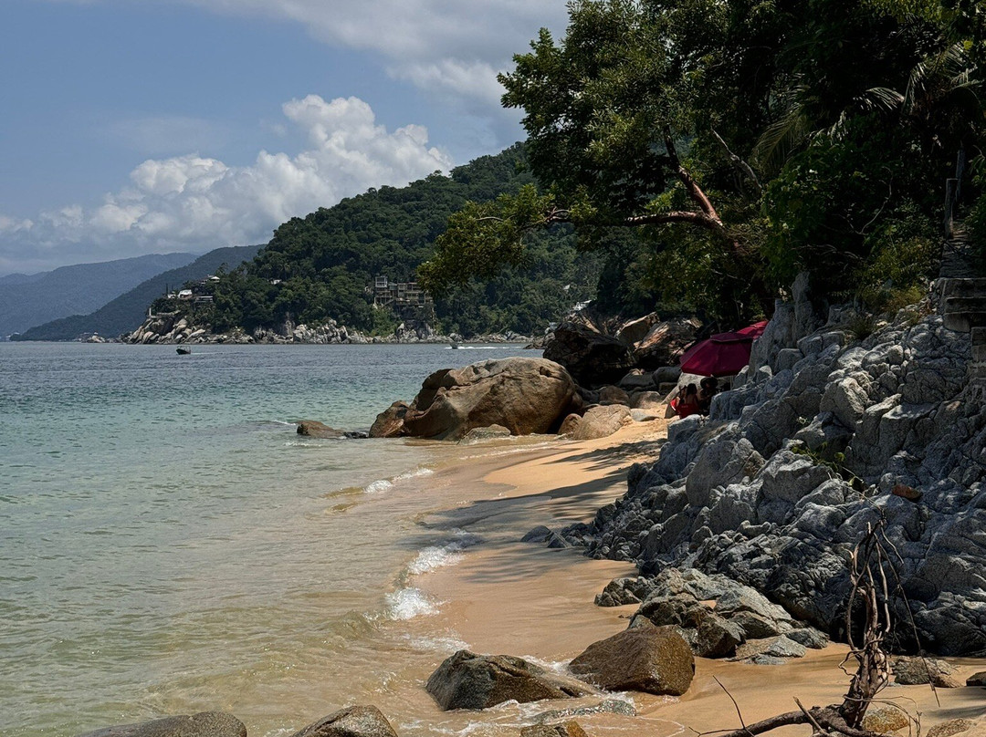 Puerto Vallarta Walking Adventures & Tours-瓦拉塔港必去景点