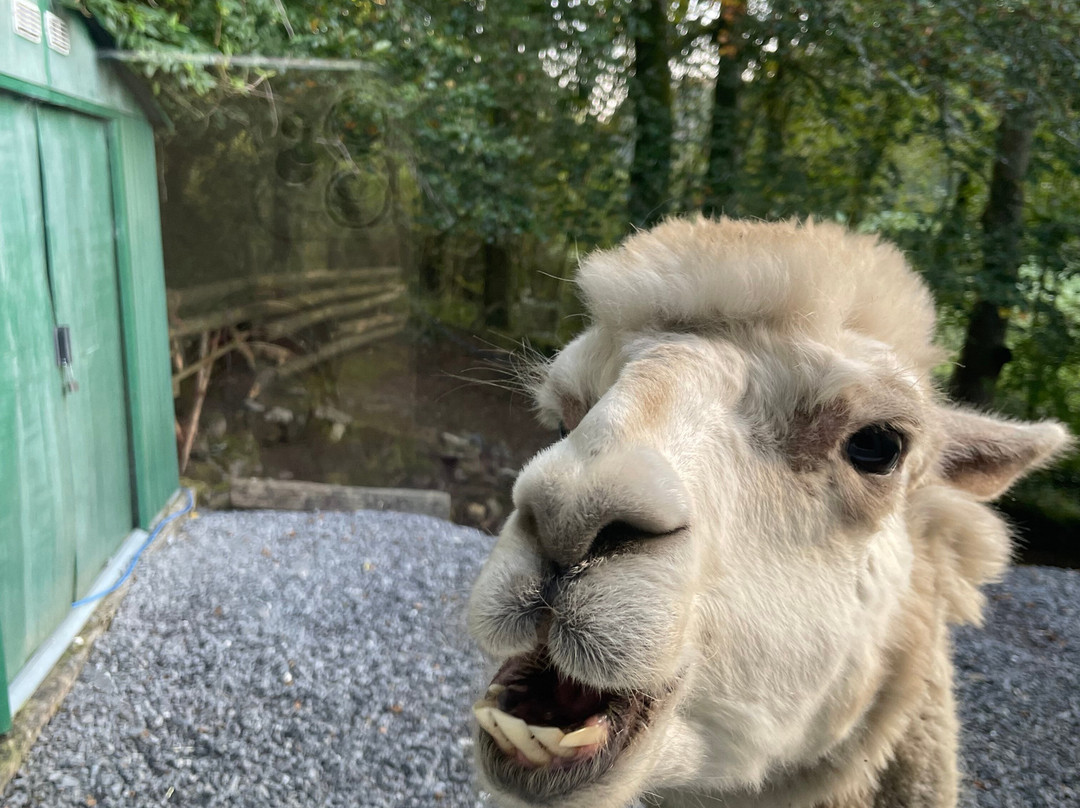 The Mill at Glynhir主图