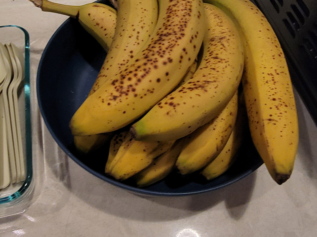 Super 8 by Wyndham Portland Airport主图