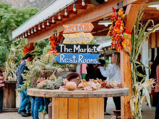 Oma's Family Farm-Lakeside必去景点