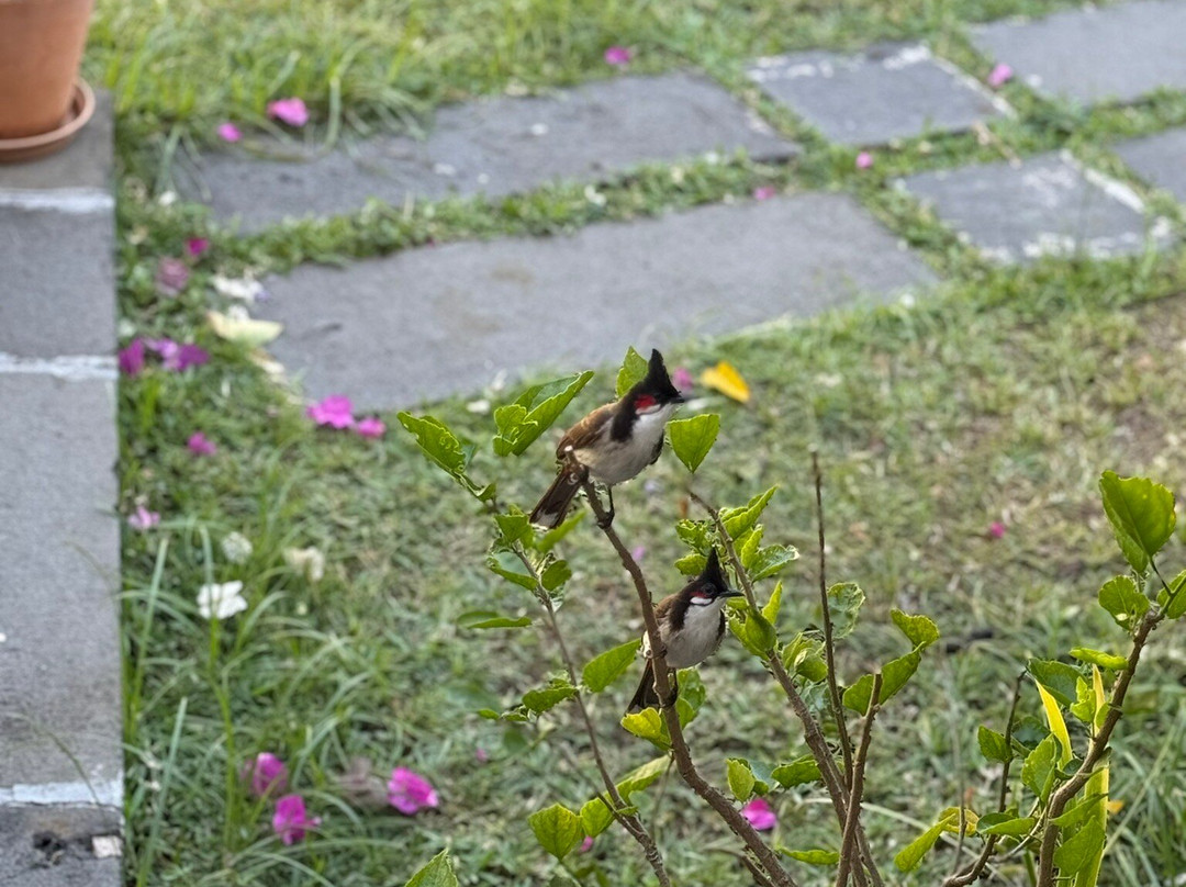 木瓜之家住宿加早餐旅馆主图