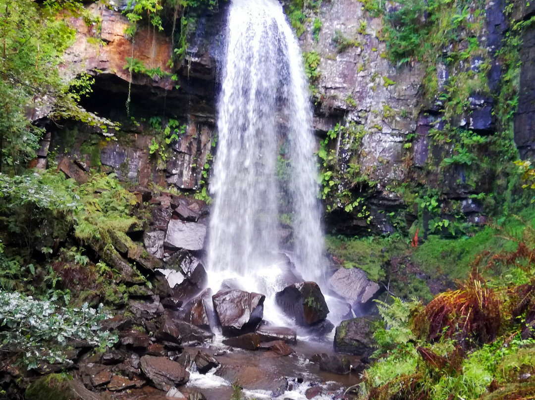 Melincourt Waterfall景点图片