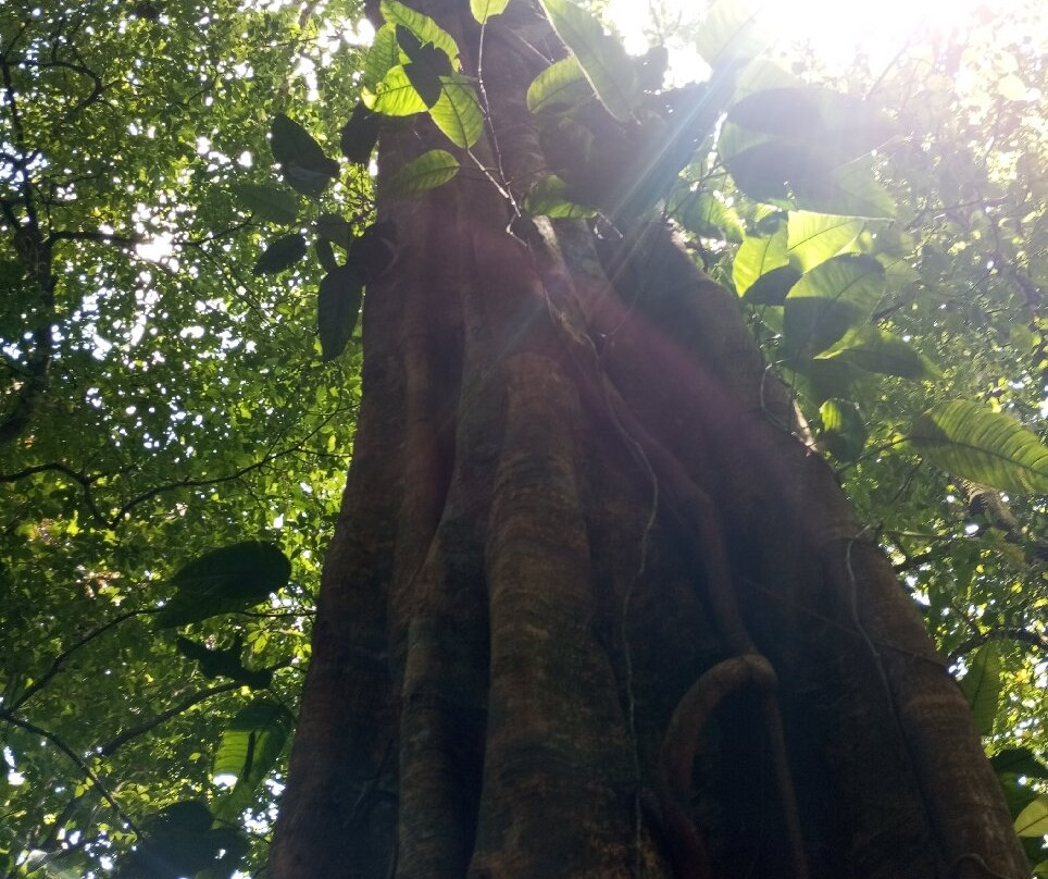 Green Eco Park CR-El Tanque必去景点