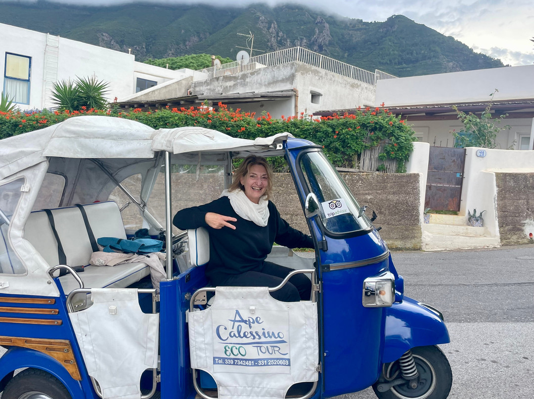 Ape Calessino – New Electric | Giro dell’Isola | Salina景点图片