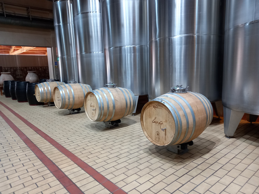 Bodegas Luzón-Jumilla必去景点