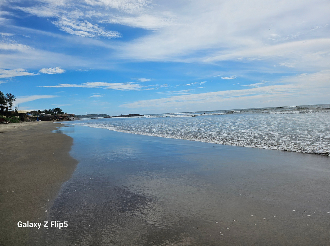 Mayfair On Sea主图