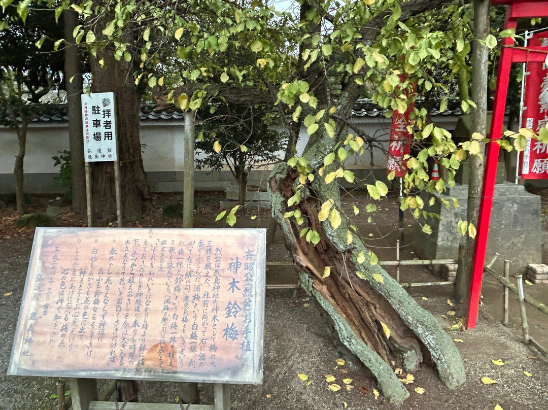 Kodokan Park-水户市必去景点