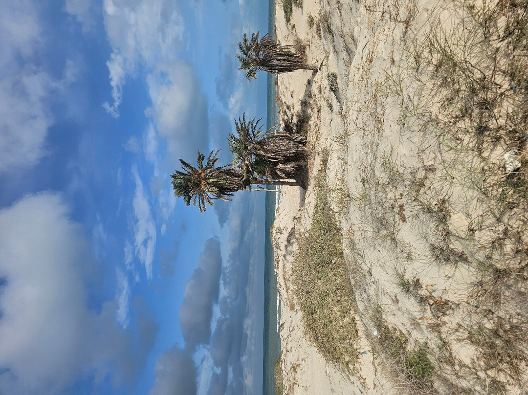 Quad Evasion et Passion-米栋必去景点