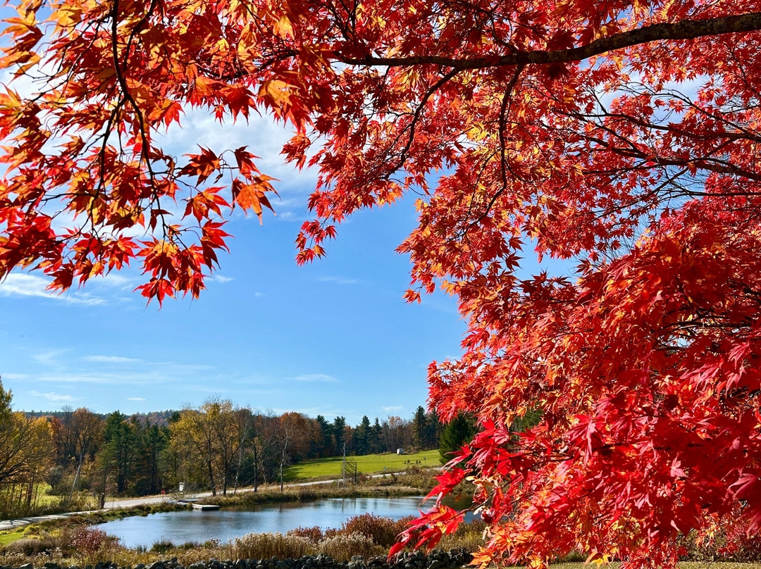 Colonel Williams Inn主图