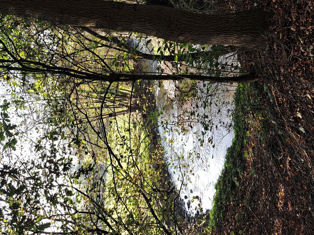 Wichet de la Rose, Dalhem景点图片