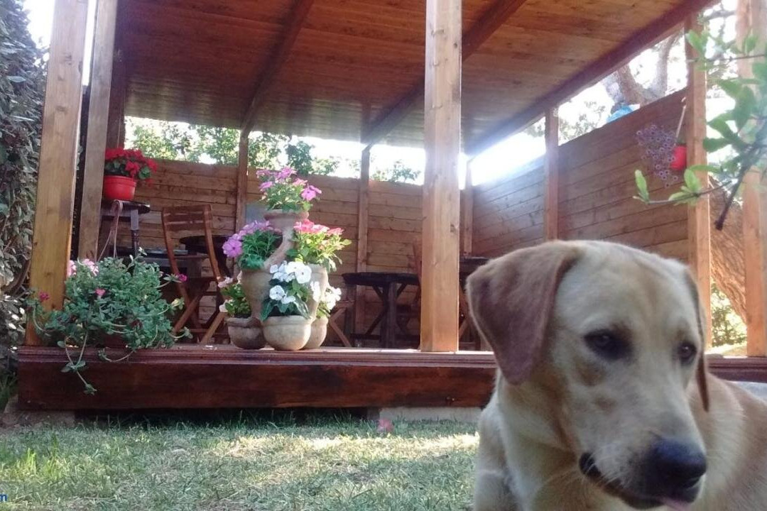 Is Spigas酒店住宿-La Contea