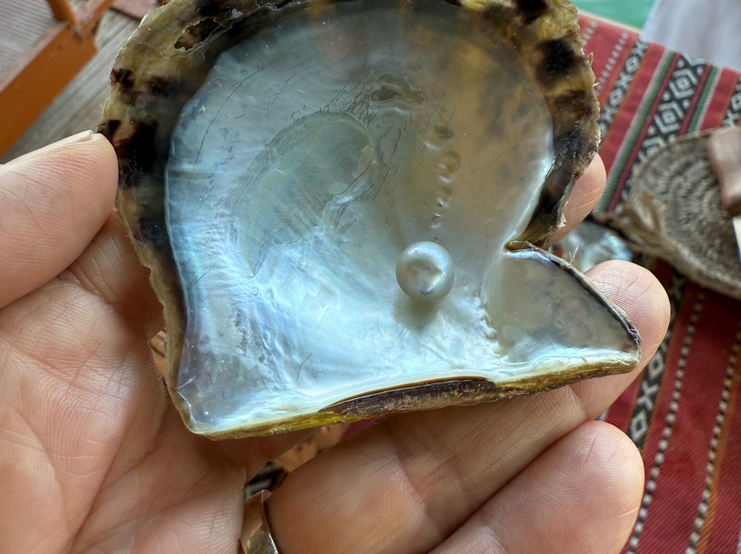 House Of Pearls By Suwaidi Pearls-哈伊马角必去景点